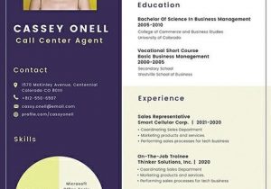 Call Center Resume Sample with No Experience Call Center Resume Example 11 Free Word Pdf Documents