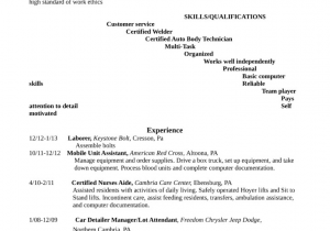 Car Dealership Lot attendant Resume Sample Professional Lot attendant Resume Template