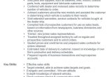 Car Salesman Job Description Resume Sample Car Sales Cv Resume – Car Sales Cv Example