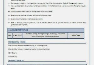 Ccna Fresher Resume Sample Free Download Ccna Resume for Freshers
