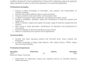 Cell Phone Repair Technician Resume Sample Sample Electronic Repair Technician Resume Pdf