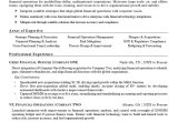 Cfo Chief Financial Officer Resume Samples Cfo Resume Example Monster.com