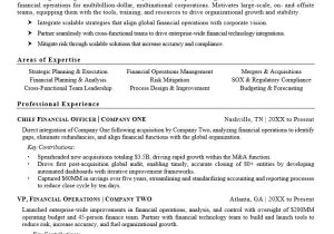 Cfo Chief Financial Officer Resume Samples Cfo Resume Example Monster.com