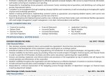 Cfo Chief Financial Officer Resume Samples Chief Finance Officer Resume Examples & Template (with Job Winning …
