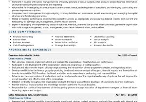 Cfo Chief Financial Officer Resume Samples Chief Finance Officer Resume Examples & Template (with Job Winning …