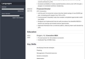 Cfo Chief Financial Officer Resume Samples Chief Financial Officer / Cfo Resume Samples & 25lancarrezekiq Tips