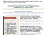 Chamber Of Commerce Executive Director Resume Sample Example Executive Resumes & Other Career Marketing Documents