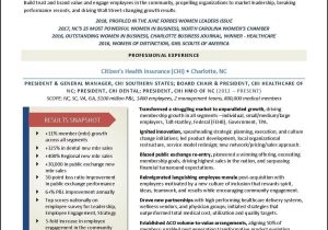 Chamber Of Commerce Executive Director Resume Sample Example Executive Resumes & Other Career Marketing Documents