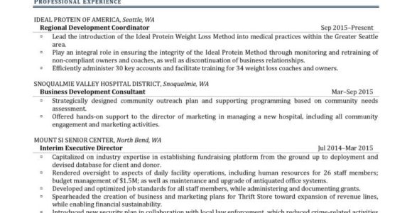 Chamber Of Commerce Executive Director Resume Sample Executive Director Resume Example Resume Professional Writers