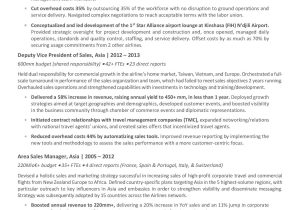 Chamber Of Commerce Executive Director Resume Sample Samples – Executive Resume Services