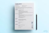 Changing the formatting On A Preformatted Sample Resume the 3 Best Resume formats to Use In 2022 (examples)