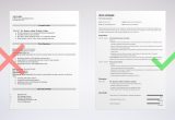 Changing the formatting On A Preformatted Sample Resume the 3 Best Resume formats to Use In 2022 (examples)