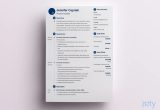Changing the formatting On A Preformatted Sample Resume the 3 Best Resume formats to Use In 2022 (examples)