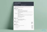 Changing the formatting On A Preformatted Sample Resume the 3 Best Resume formats to Use In 2022 (examples)