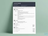 Changing the formatting On A Preformatted Sample Resume the 3 Best Resume formats to Use In 2022 (examples)