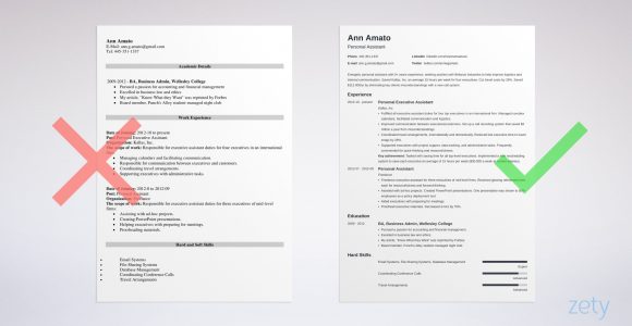 Changing the formatting On A Preformatted Sample Resume the 3 Best Resume formats to Use In 2022 (examples)