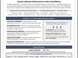 Chief Information Officer L Resume Samples 2021 and 2022 Executive Resume Samples