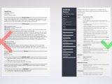 Chief Information Officer L Resume Samples Chief Operating Officer (coo) Resume Examples & Template