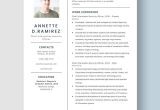 Chief Information Security Officer Resume Sample Chief Information Security Officer Resume Template – Word, Apple …