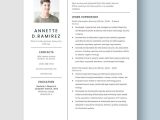 Chief Information Security Officer Resume Sample Chief Information Security Officer Resume Template – Word, Apple …