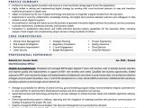 Chief Information Security Officer Resume Sample Cio Resume Examples & Template (with Job Winning Tips)