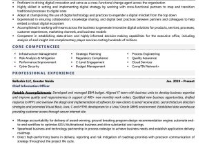 Chief Information Security Officer Resume Sample Cio Resume Examples & Template (with Job Winning Tips)