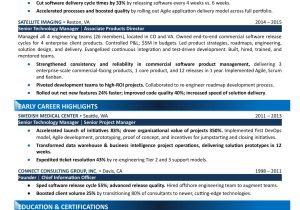 Chief Information Security Officer Resume Sample Cio Resume Samples & Writing 2022 – Icareer solutions