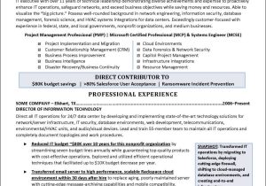 Chief Information Security Officer Sample Resumes Cio Resume Example – Distinctive Career Services
