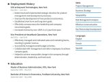 Chief Of Staff Job Resume Sample Ceo Resume Examples & Writing Tips 2022 (free Guide) Â· Resume.io