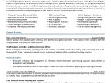 Chief Of Staff Resume Objective Samples Samples – Executive Resume Services