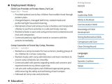 Child and Youth Care Resume Samples Child Care Resume Examples & Writing Tips 2022 (free Guide)