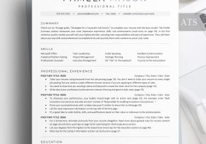 Chronological Resume Sample 2023 for ats Chronological Cv – Etsy.de