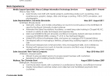 Chronological Resume Sample for College Student Samples Of Resumes for College Students
