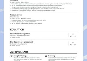 Chronological Resume with Employment Gap Samples How to Decide On Using A Reverse Chronological Resume