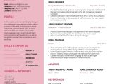 Chronological Resume with Employment Gap Samples How to Fill Employment Gaps On Your RÃ©sumÃ© (with Example)