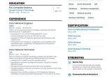 Cisco Network Manager at Hospital Resume Samples Network Engineer Resume Samples and Writing Guide for 2022 (layout …