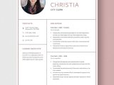 City Clerk 1 Page Resume Sample Free Free City Clerk Resume Template – Word, Apple Pages …