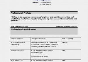 Civil Engineering Resume Samples for Freshers Pdf Civil Engineering