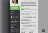 Clean Cv Resume Template Free Download Free Clean Cv/resume Template On Behance