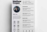 Clean Cv Resume Template Free Download Free Clean Cv Template (psd)