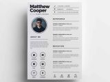 Clean Cv Resume Template Free Download Free Clean Cv Template (psd)