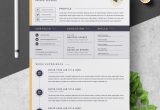 Clean Cv Resume Template Free Download Professional Resume Template â Free Resumes, Templates Pixelify.net