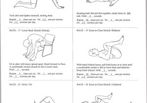 Clinical Rotation Resume Sample Physical therapy assistant Physical therapy at Home: Exercises and Devices to Relieve Pain …