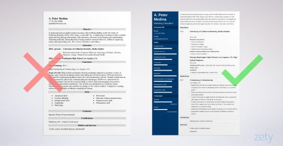 Cna Objectives Sample In Resume No Experience How to Make A Resume with No Experience: First Job Examples