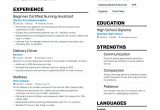 Cna Resume Sample for Nursing Home top-notch Certified Nursing assistant Service Resume Examples …