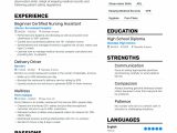 Cna Resume Sample for Nursing Home top-notch Certified Nursing assistant Service Resume Examples …