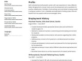 Combination Resume Sample for Career Change Career Change Resume Examples & Writing Tips 2021 (free Guide)