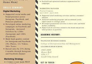 Combination Resume Template for Stay at Home Mom Combination Resume Example for Stay at Home Mom & Templates [pdflancarrezekiq …