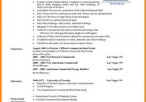 Commercial Real Estate Broker Resume Sample Commercial Real Estate Broker Cv October 2021