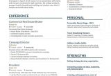 Commercial Real Estate Broker Resume Sample Real Estate Resume Examples and Skills You Need to Get Hired